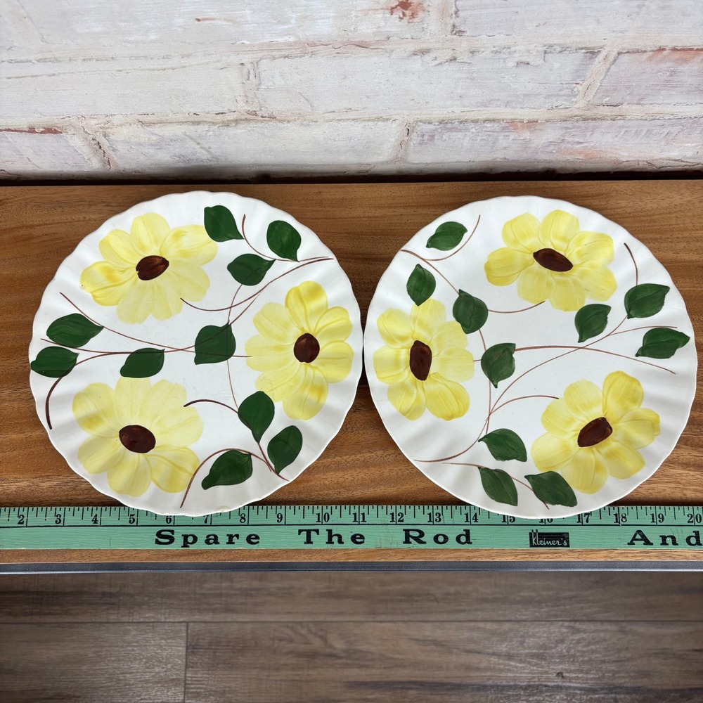 Set of 2 Vintage Blue Ridge Southern Potteries Hand Painted Yellow Floral Plates